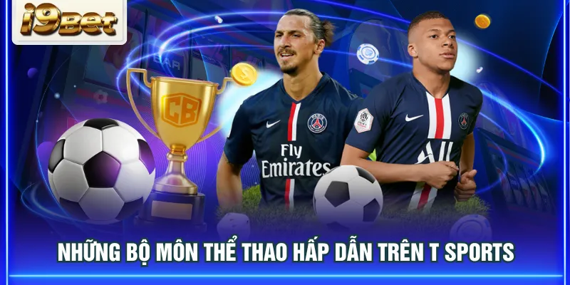 Những bộ môn thể thao hấp dẫn trên T Sports